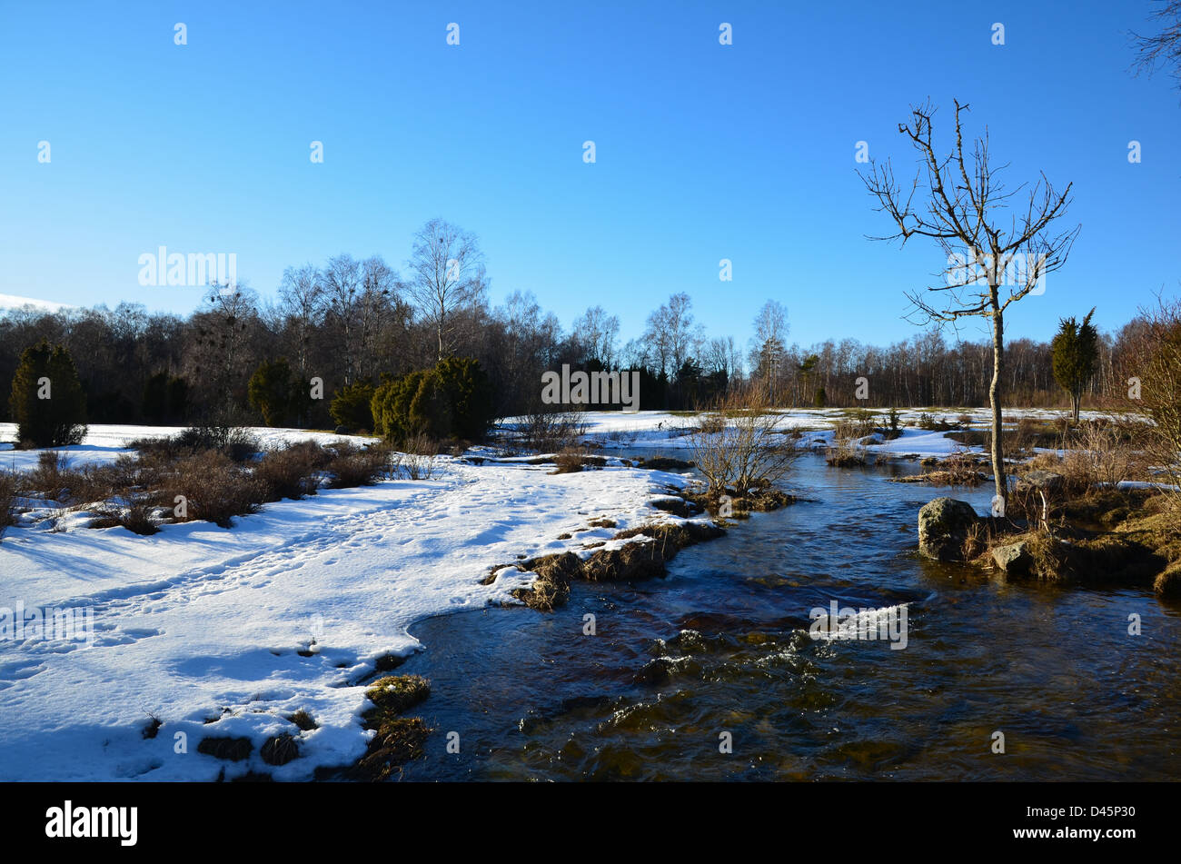 Lo streaming di acqua in un piccolo fiume a inizio primavera. Dall'isola svedese Öland. Foto Stock