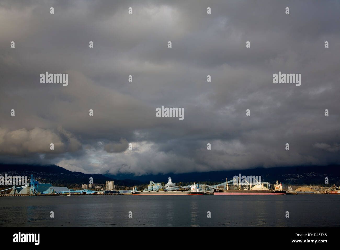 Portarinfuse navi a Vancouver pontili terminale, Porto di Vancouver, North Vancouver, British Columbia, Canada Foto Stock