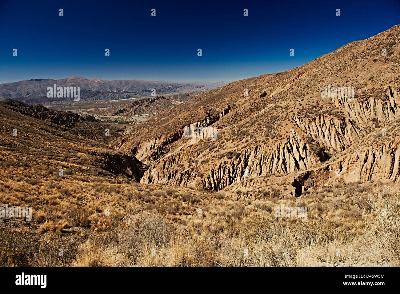 El Silla, erosione paesaggio vicino Tupiza, rosso formazioni rocciose nel canone del Inca, Tupiza Chichas gamma, Bolivia, Sud America Foto Stock