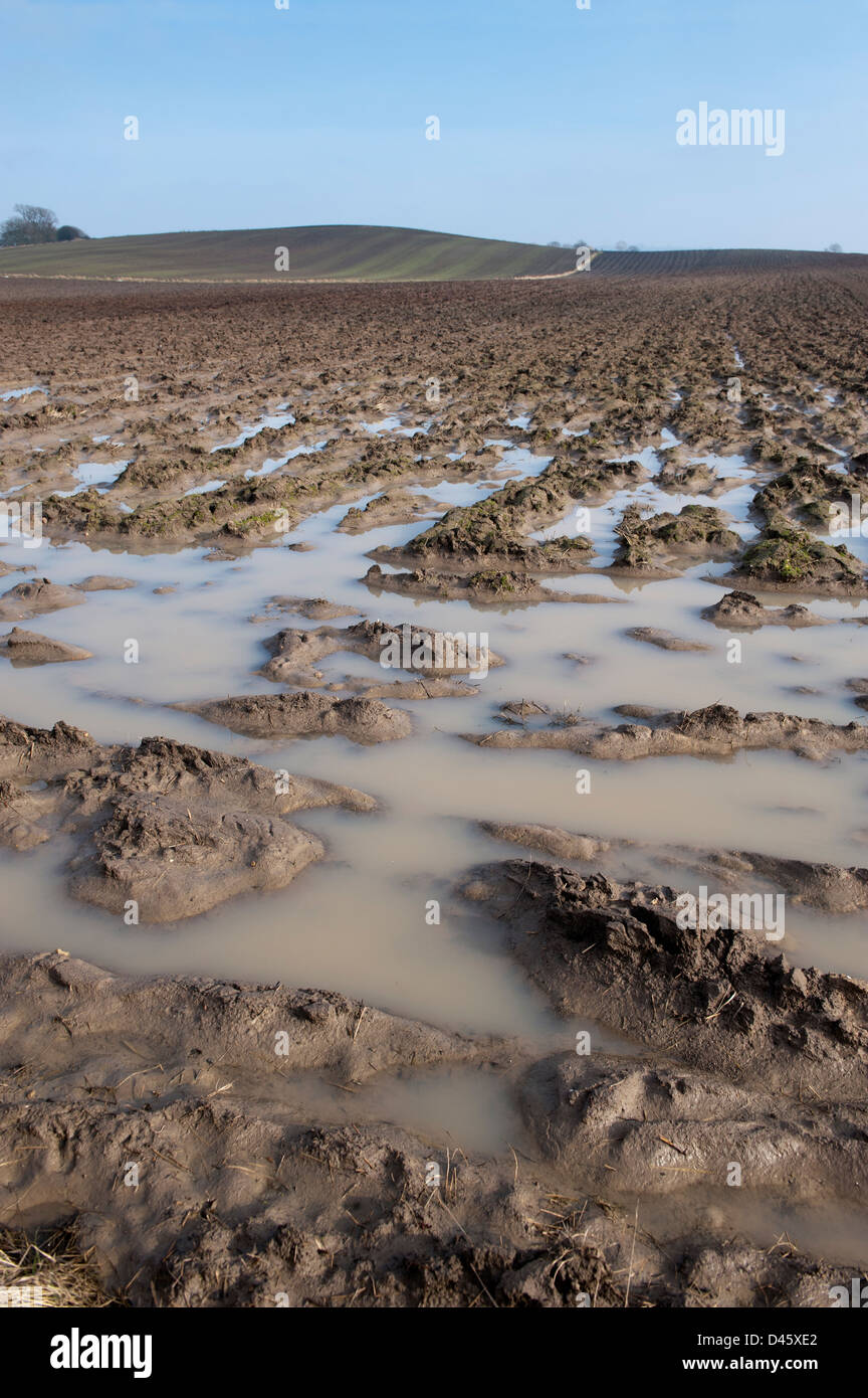 Terreni arati mostrando estrema waterlogging. Yorkshire, Regno Unito. Foto Stock