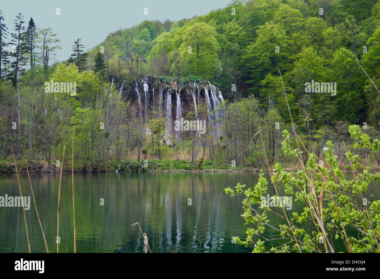 I Laghi di Plitvice, Croazia Europa Foto Stock