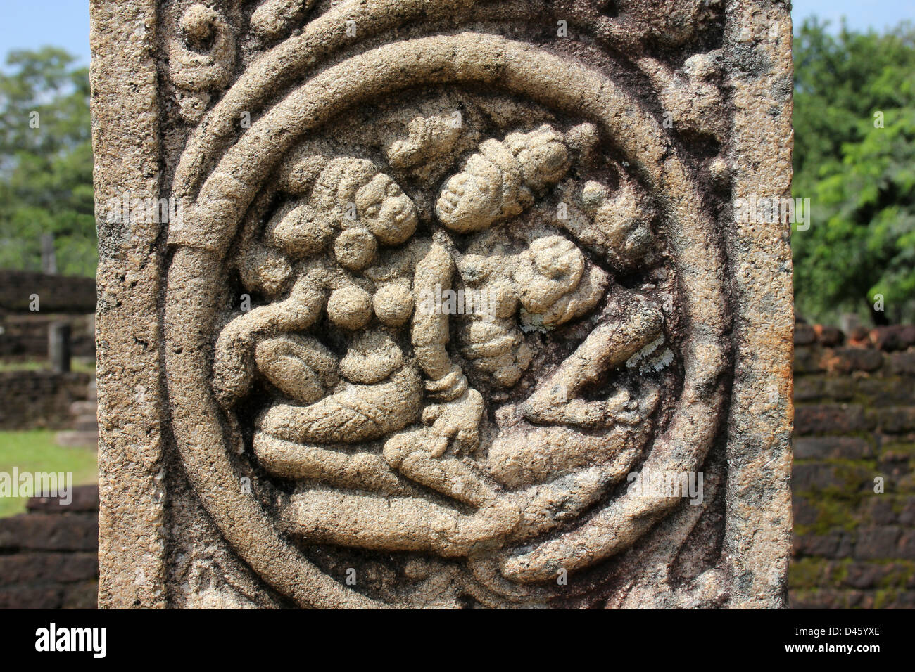 Colonne scolpite nel Atadage, un quadrangolo Polonnaruwa, Sri Lanka Foto Stock