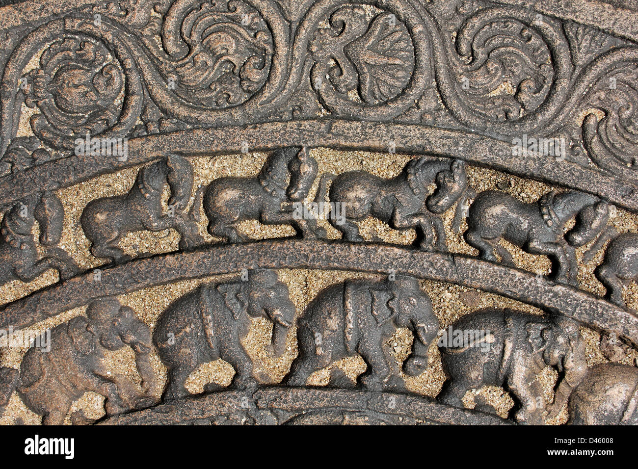 Scolpito la Pietra di luna, Vatadage, Polonnaruwa, Sri Lanka Foto Stock