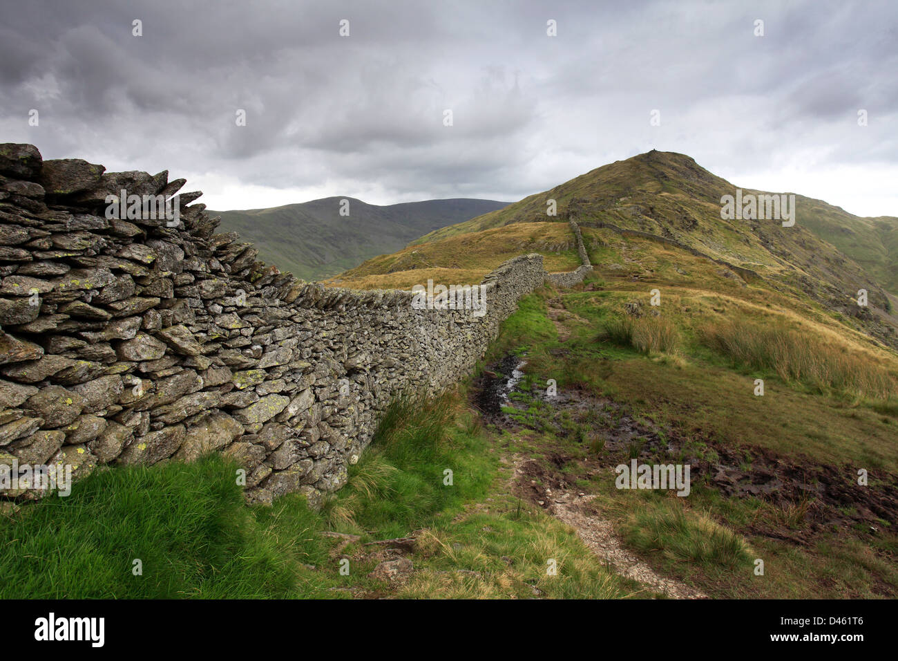 Vista del paesaggio nel corso del Vertice crinale di alta Pike cadde, Fairfield Horseshoe fells, Parco Nazionale del Distretto dei Laghi, Cumbria County Foto Stock