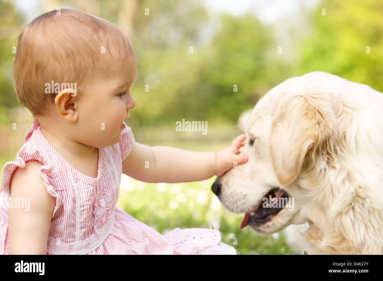 Baby girl in abiti estivi seduta nel campo Petting cane di famiglia Foto Stock