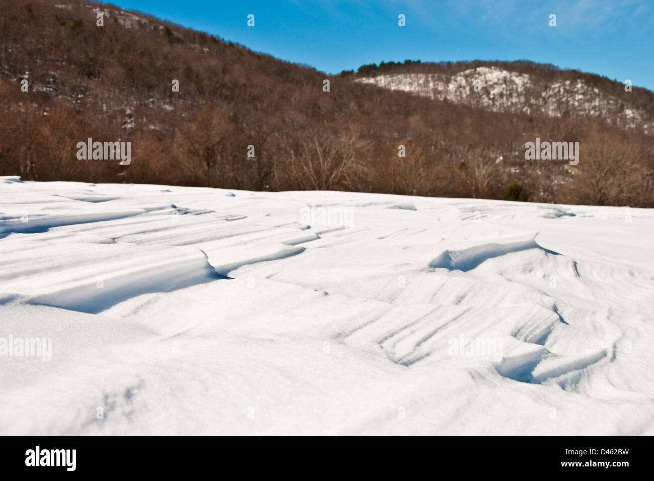 Coperta di neve campo Foto Stock