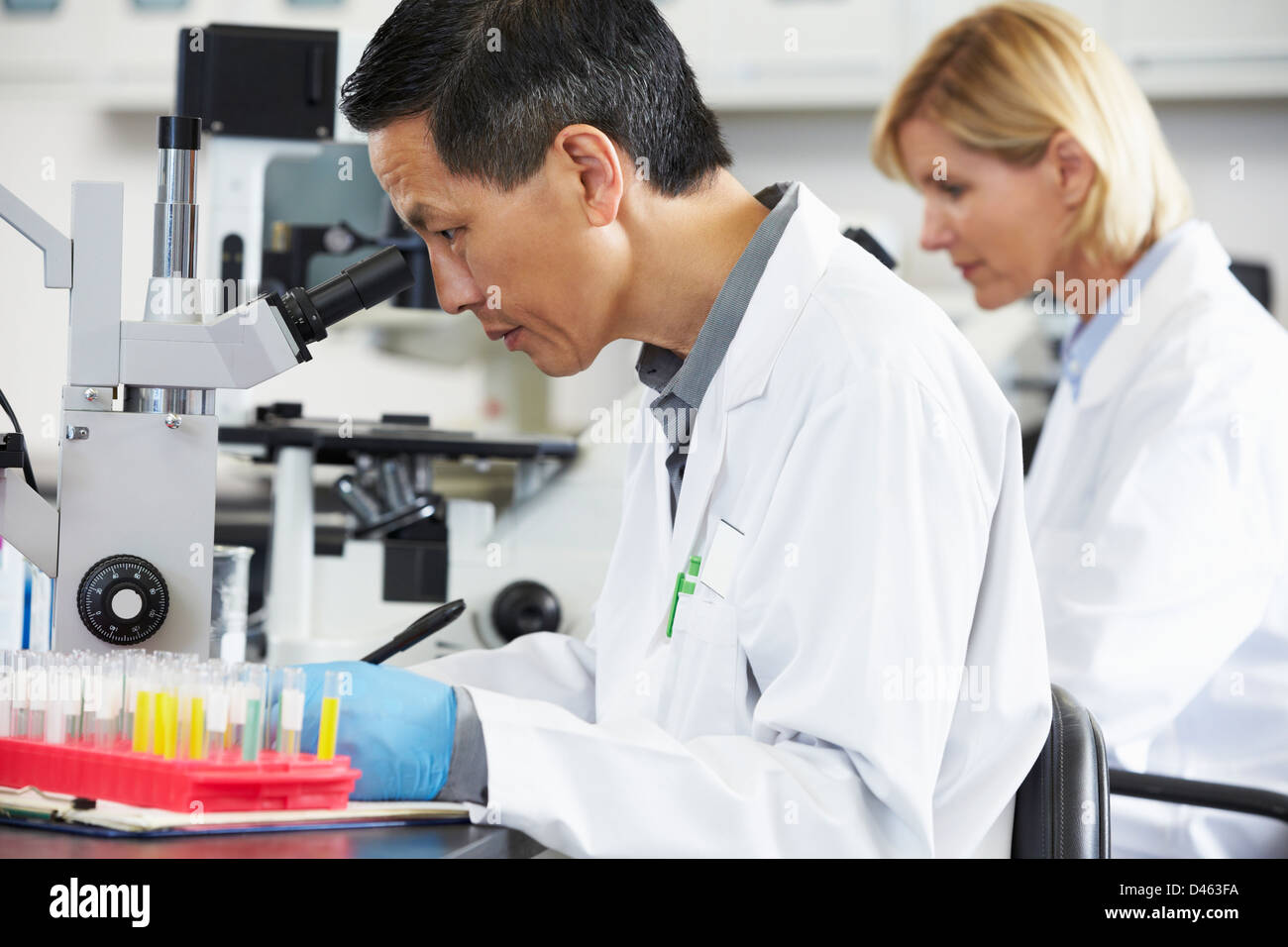 Maschio e femmina gli scienziati utilizzano microscopi in laboratorio Foto Stock