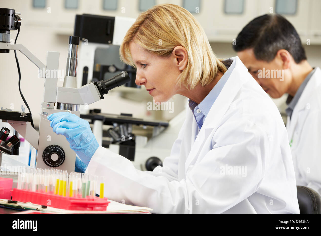Maschio e femmina gli scienziati utilizzano microscopi in laboratorio Foto Stock