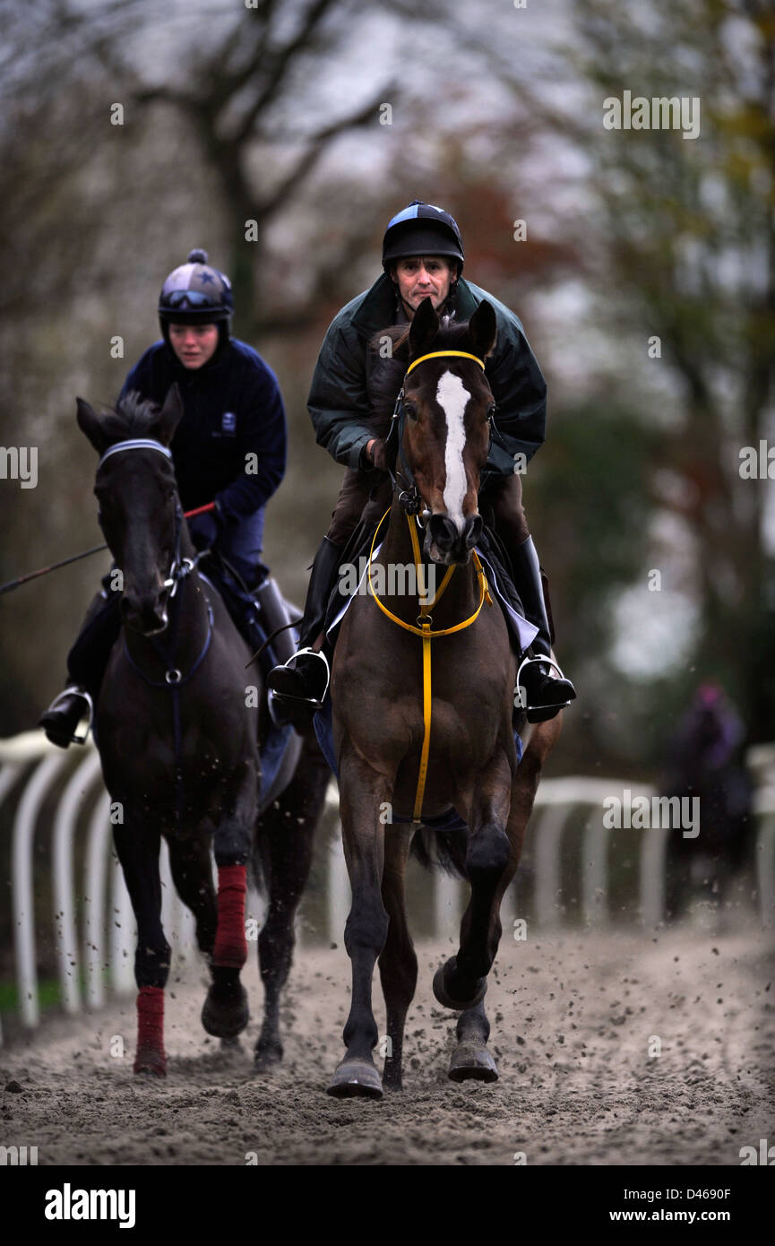 Il cavallo da corsa Kauto Star (destra) cavalcato da Capo Lad, Clifford Baker sulle galoppa al Paul Nicholls Manor Farm Stables in Ditche Foto Stock