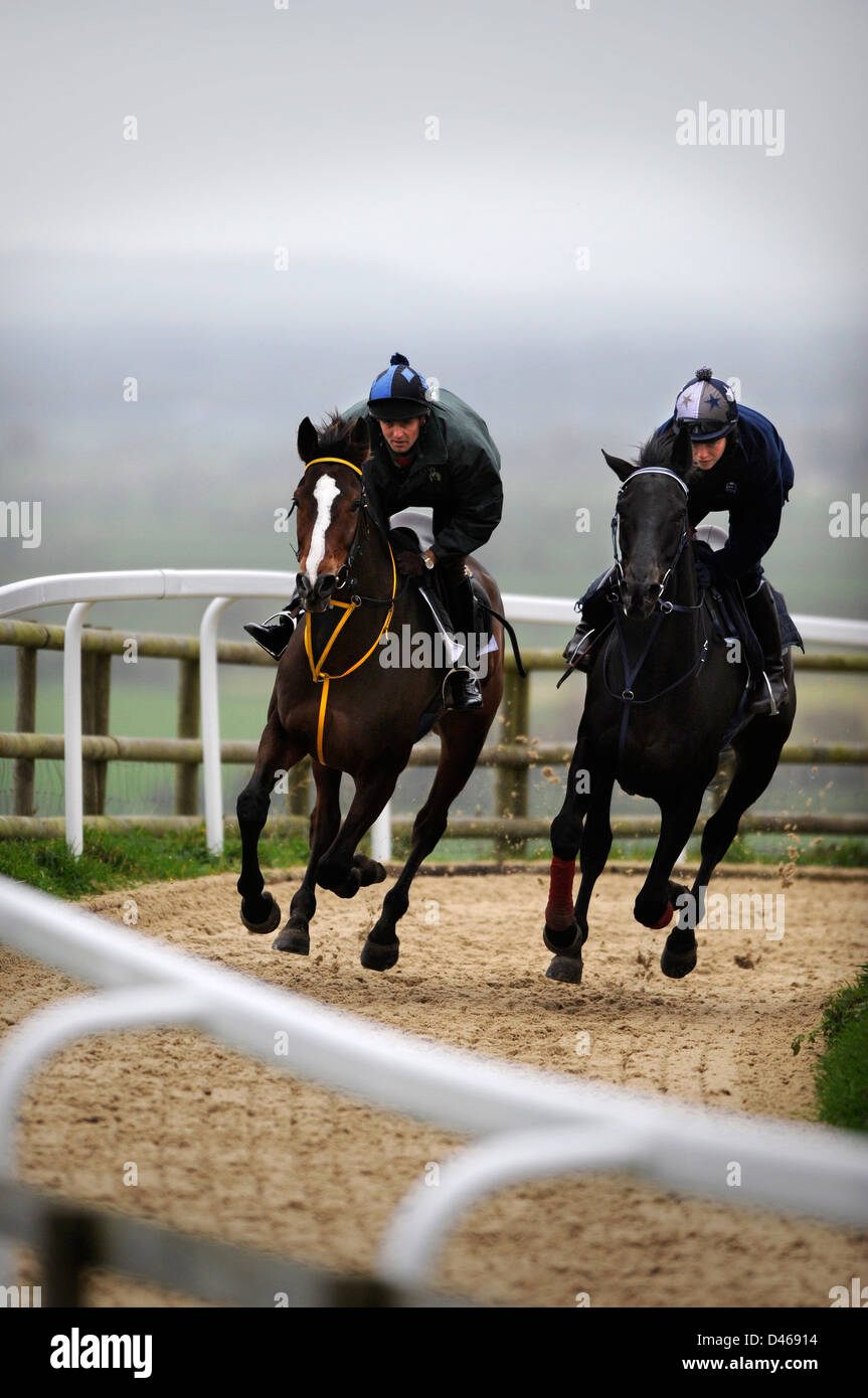 Il cavallo da corsa Kauto Star (sinistra) cavalcato da Capo Lad, Clifford Baker sulle galoppa al Paul Nicholls Manor Farm Stables in Ditchea Foto Stock