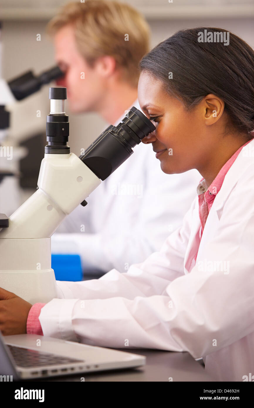 Maschio e femmina gli scienziati utilizzano microscopi in laboratorio Foto Stock