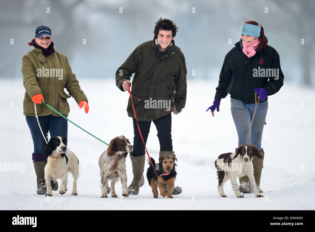 Tre giovani che esercitano i loro cani nel Parco di Badminton, GLOUCESTERSHIRE REGNO UNITO Foto Stock