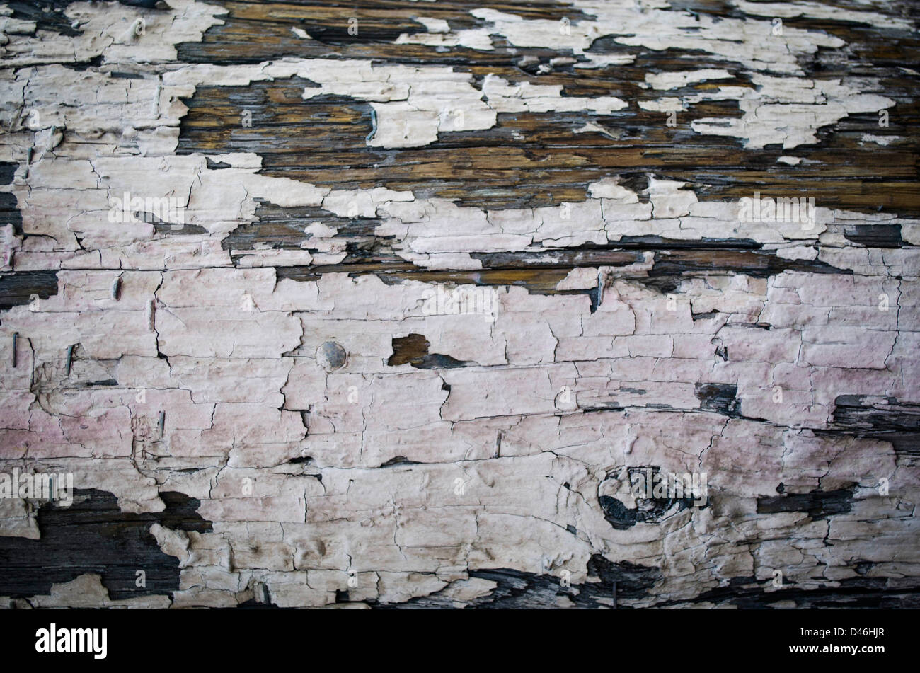 Palo di legno con punti metallici Foto Stock