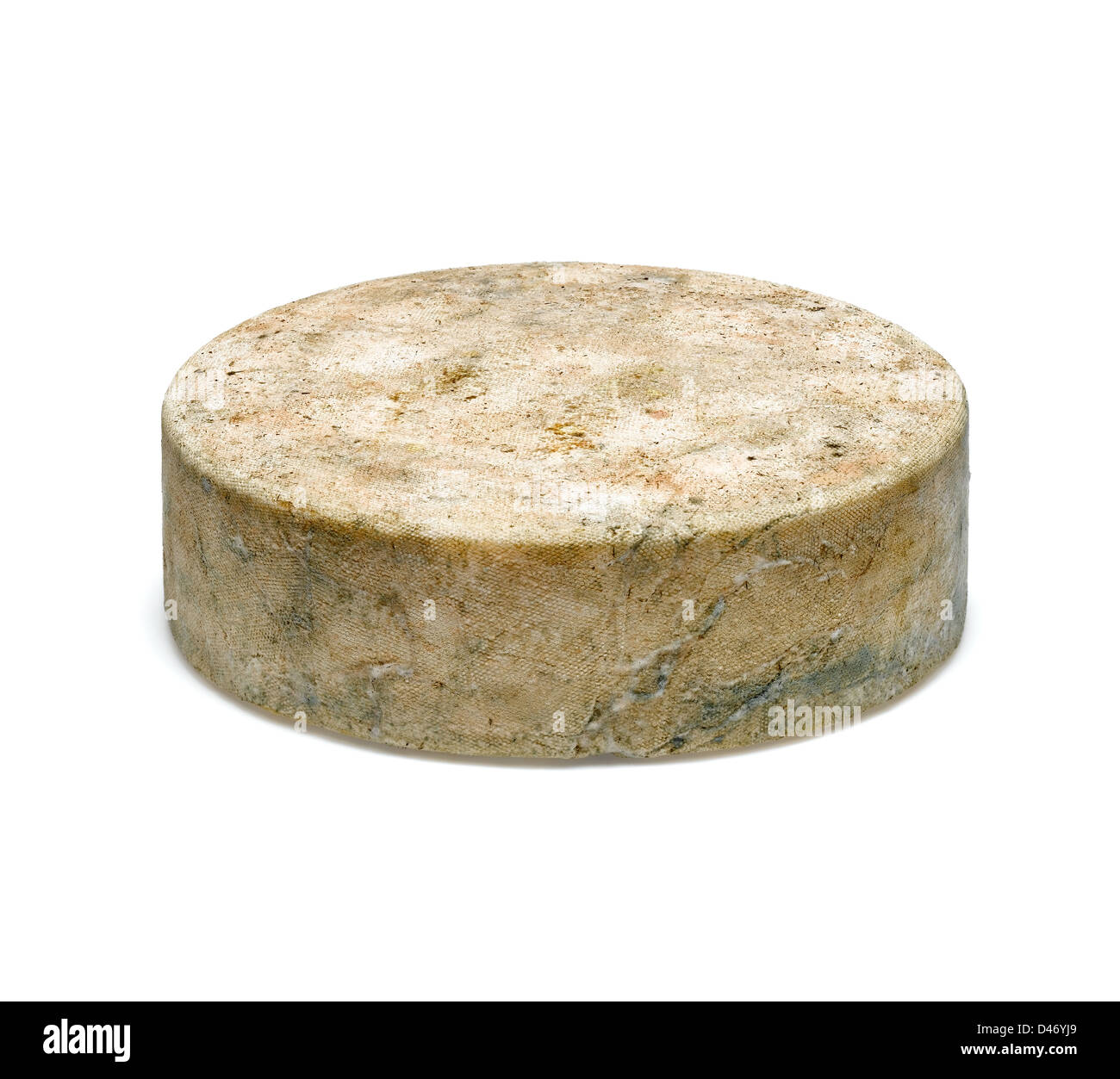 Tutto unico formaggio Gloucester Foto Stock