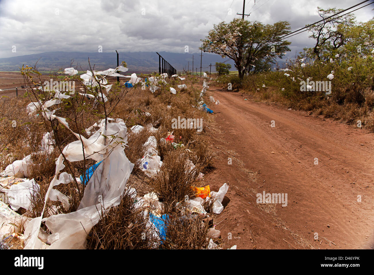 Frega e alberi pieni di sacchetti di plastica, giù il vento da un sito di discarica sull'isola di Maui, Hawaii. Foto Stock