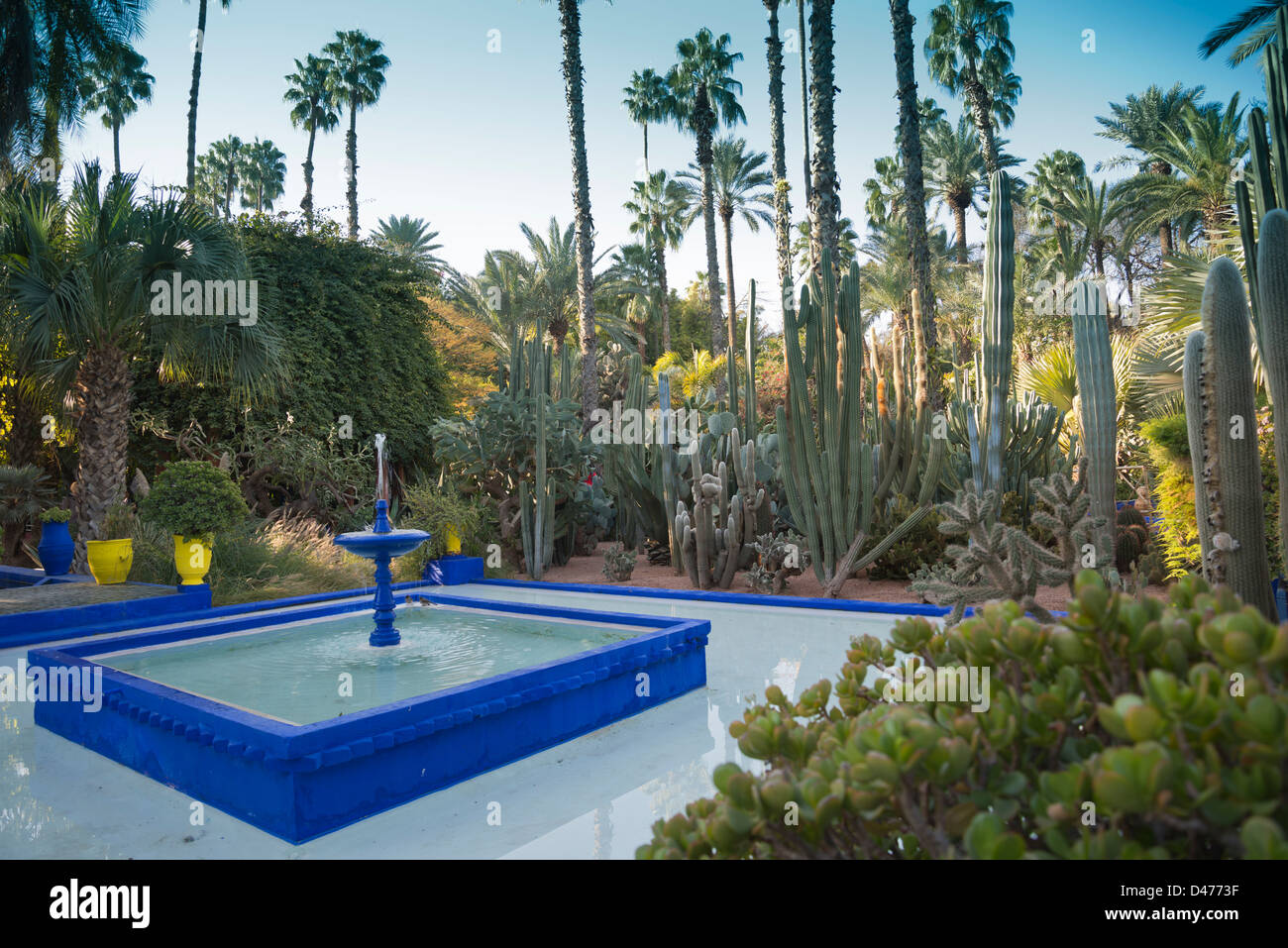 Il Giardino Majorelle di Marrakech, Marocco Foto Stock