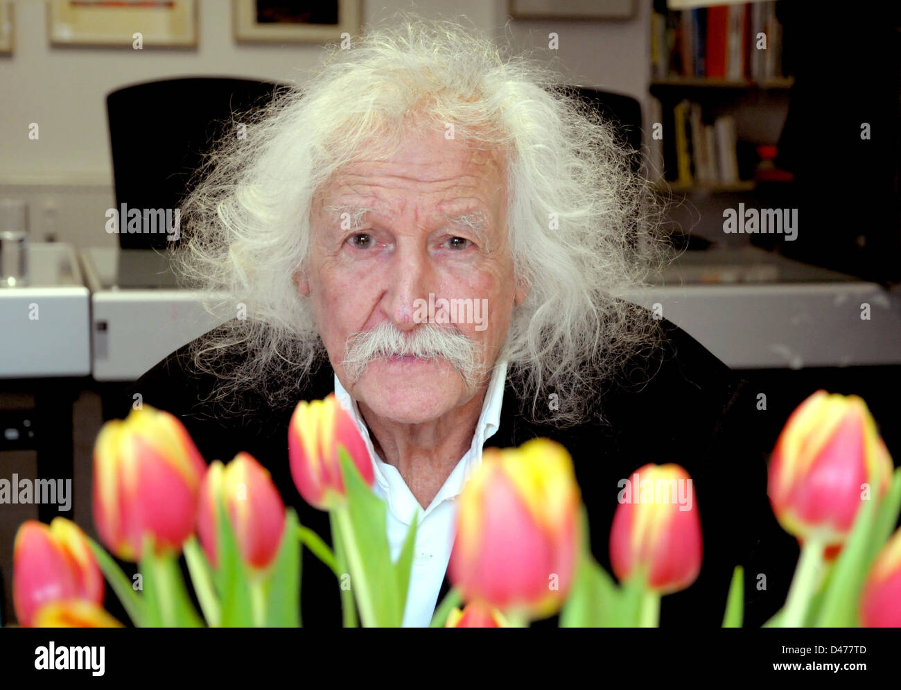 Dutch-nato il pittore Pietro Royen siede dietro un buquet di tulipani durante un evento di vendita di sua mano firmato unica opera d'arte dal 1948 al 1953 a Duesseldorf in Germania, 2 marzo 2013. Royen celebra il suo novantesimo compleanno il 28 maggio 2013. Foto: Horst Ossinger Foto Stock