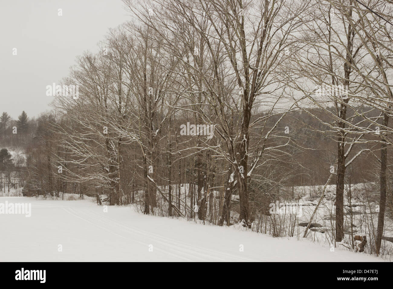 Inverno, Codding cava, Eden, Vermont, USA Foto Stock