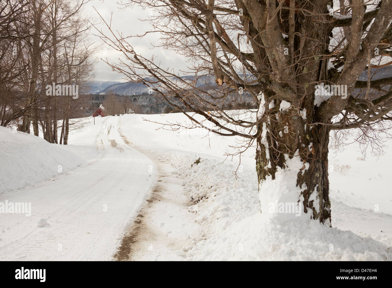 Strada rurale nella neve, Rochester Vermont, USA Foto Stock