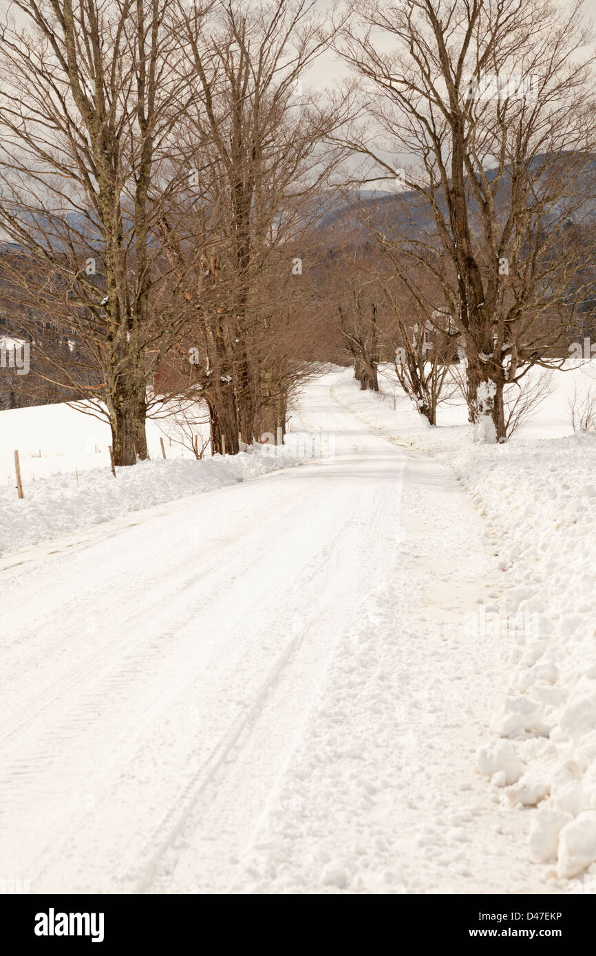 Granaio rosso nella neve, Rochester, Vermont, USA Foto Stock