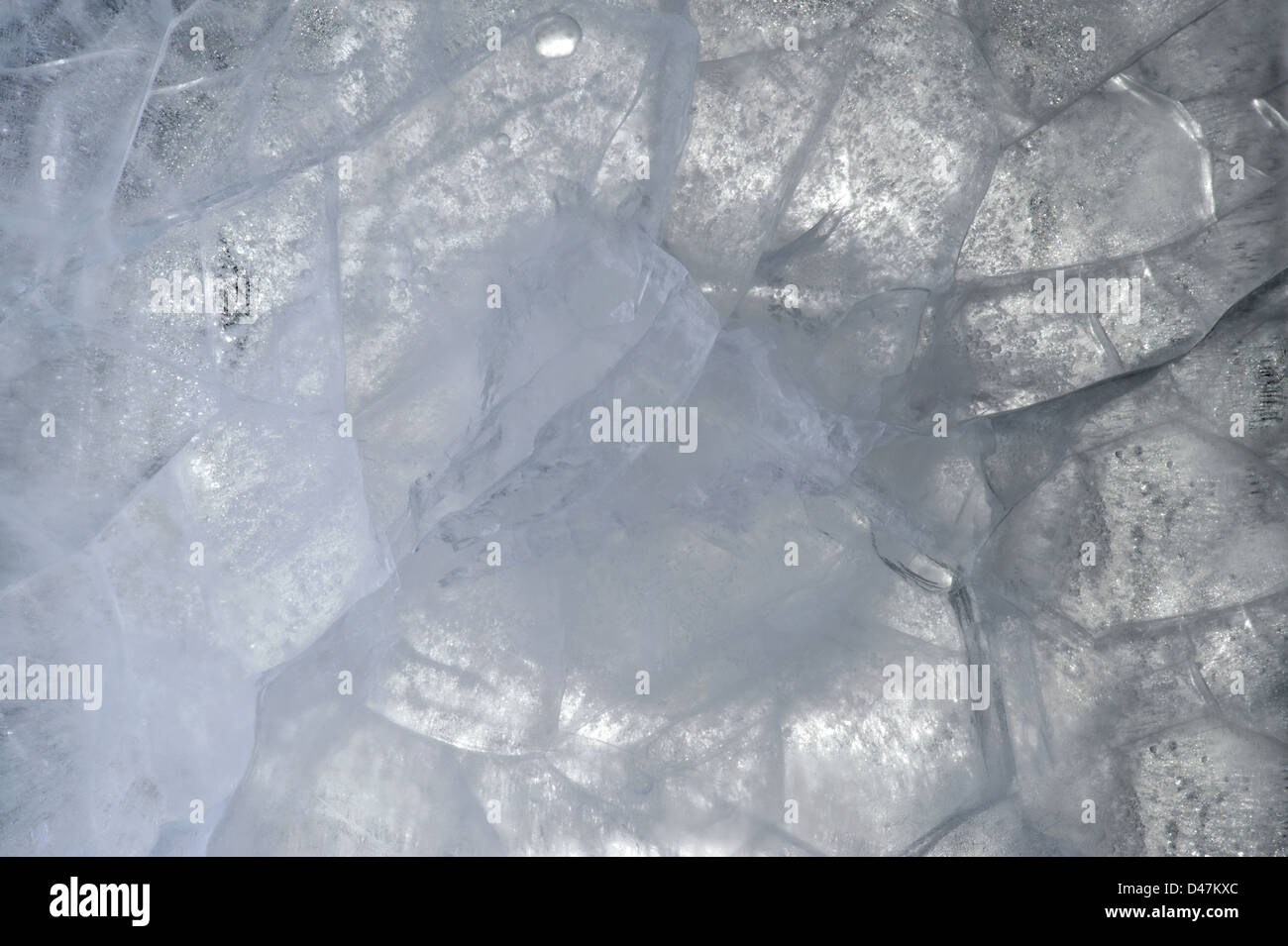 Ice - piastra di real ice come texture di sfondo, o decorazione Foto Stock