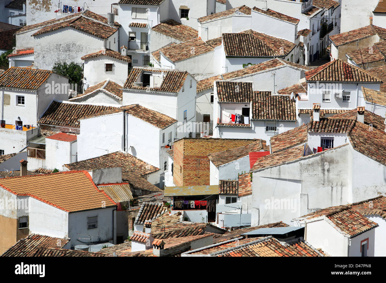 Case bianche, UBRIQUE, Spagna Foto Stock