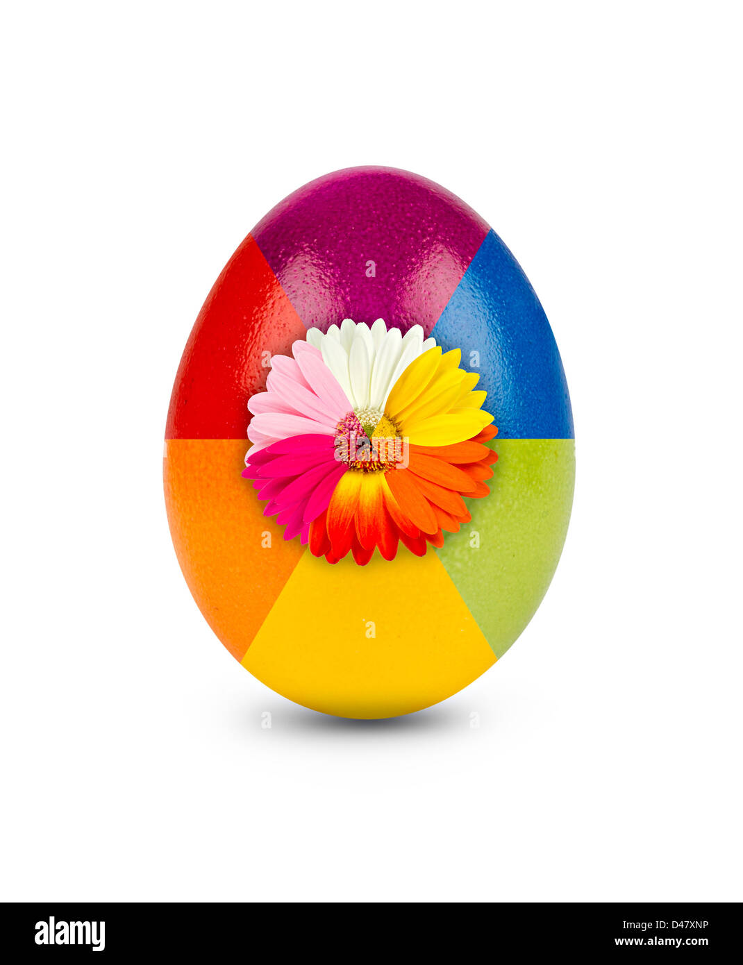 Multicolore di uova di Pasqua decorate con gebera blossom Foto Stock