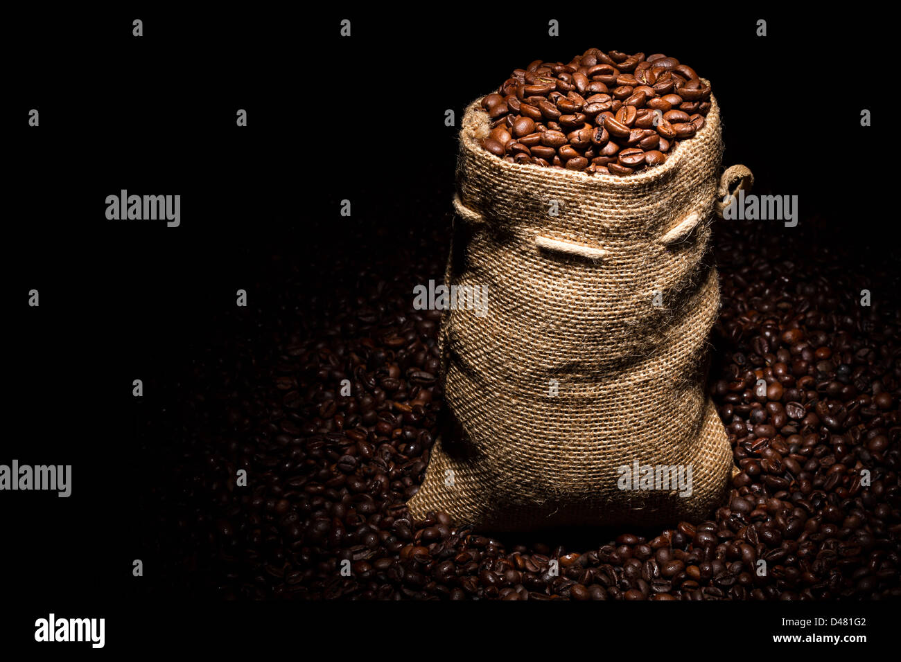 Sacco riempito con i chicchi di caffè in Spotlight Foto Stock
