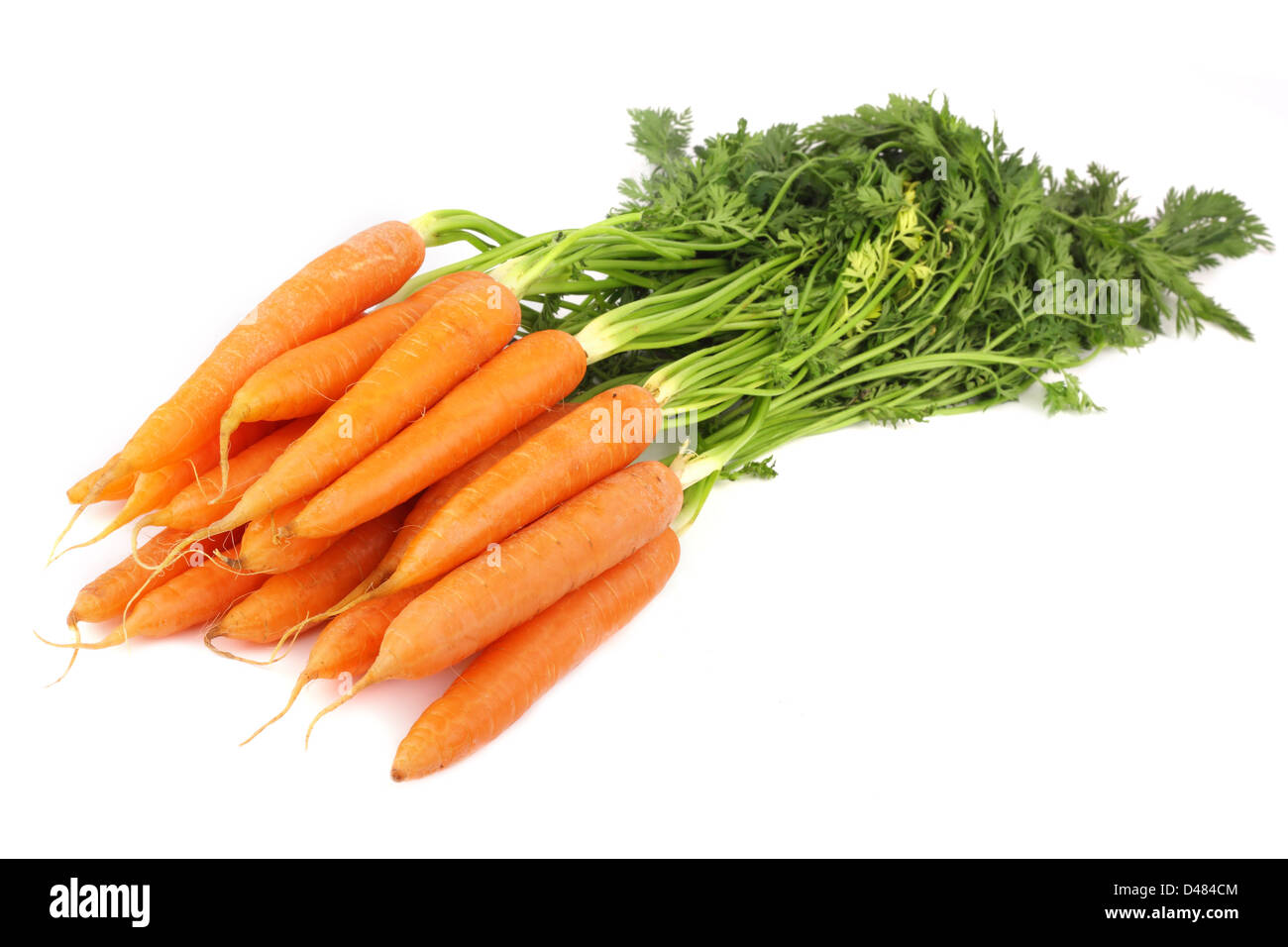 Le carote fresche, su sfondo bianco Foto Stock