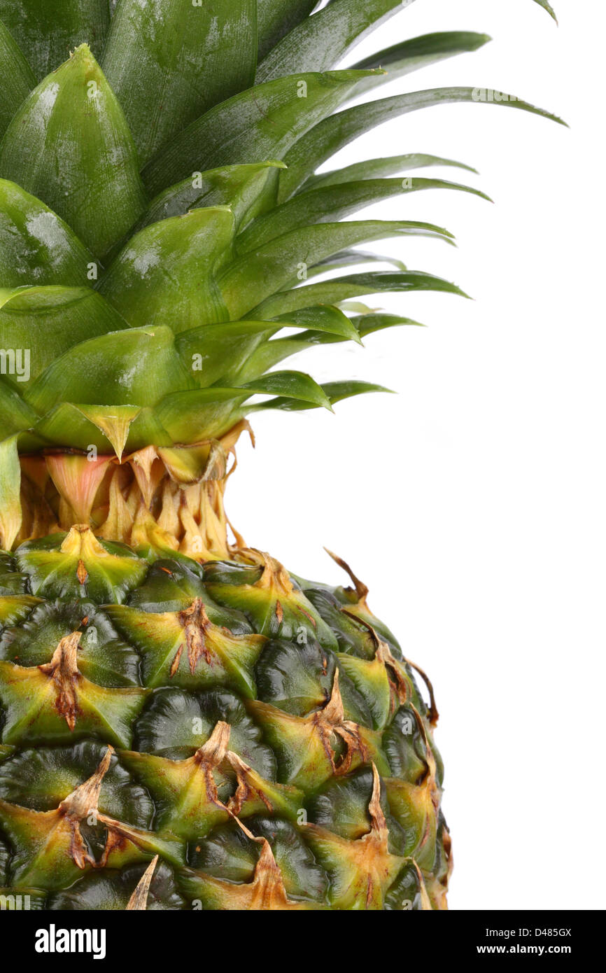 Ananas fresco frutta in una metà ritratto. Foto Stock