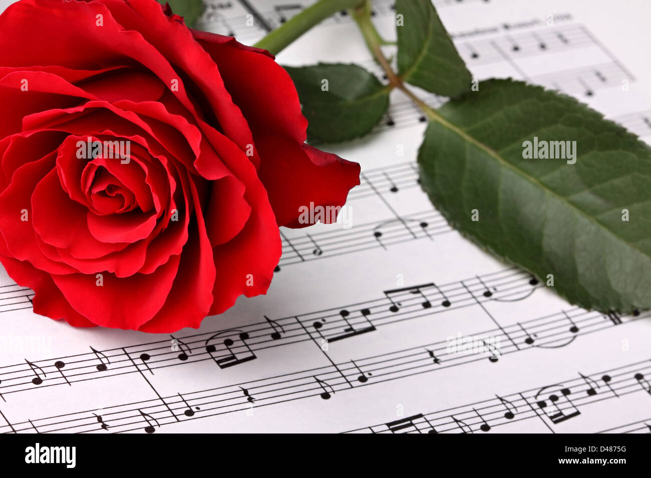 Red Rose sul foglio di musica. Foto Stock