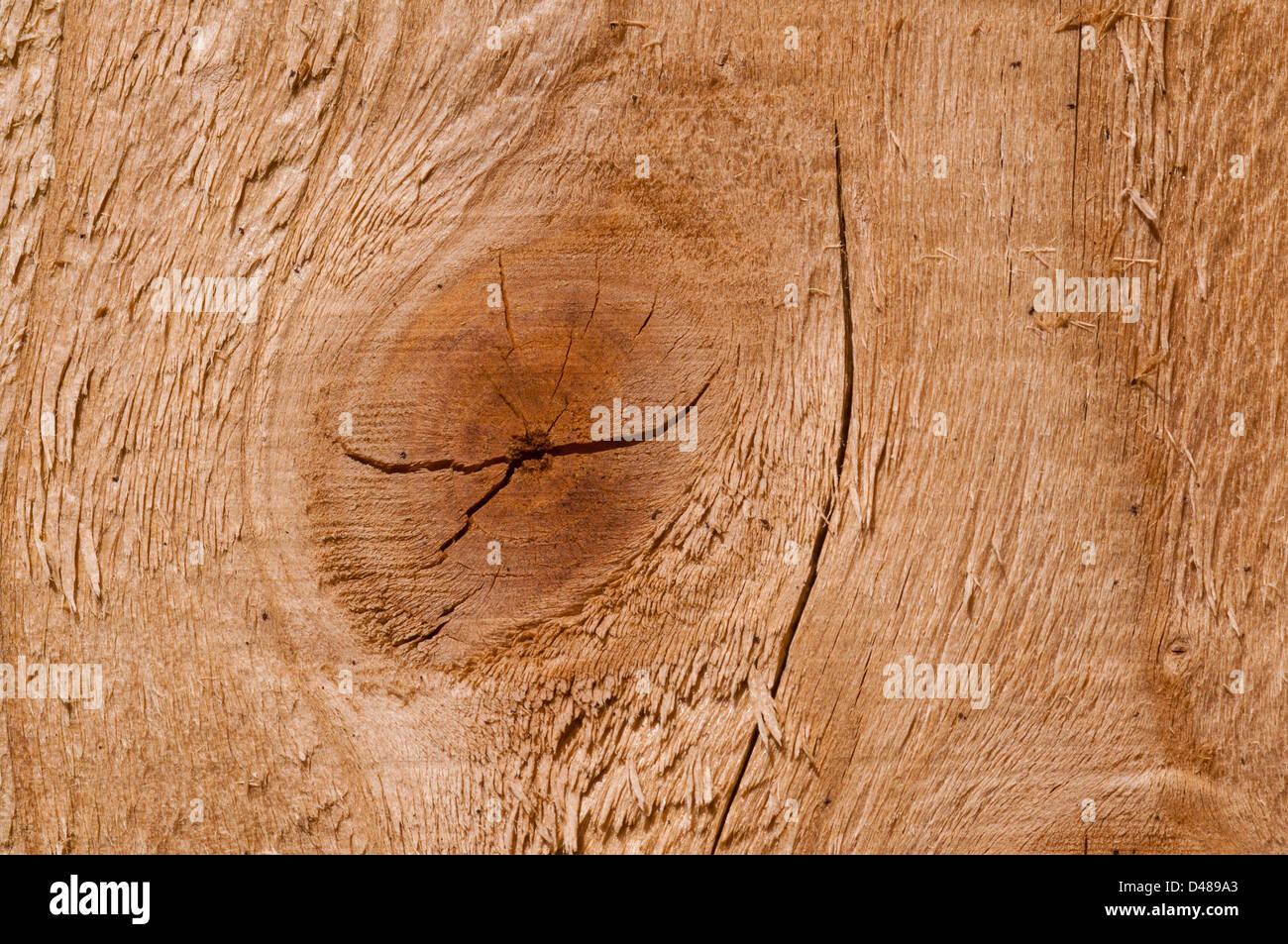 struttura di legno Foto Stock