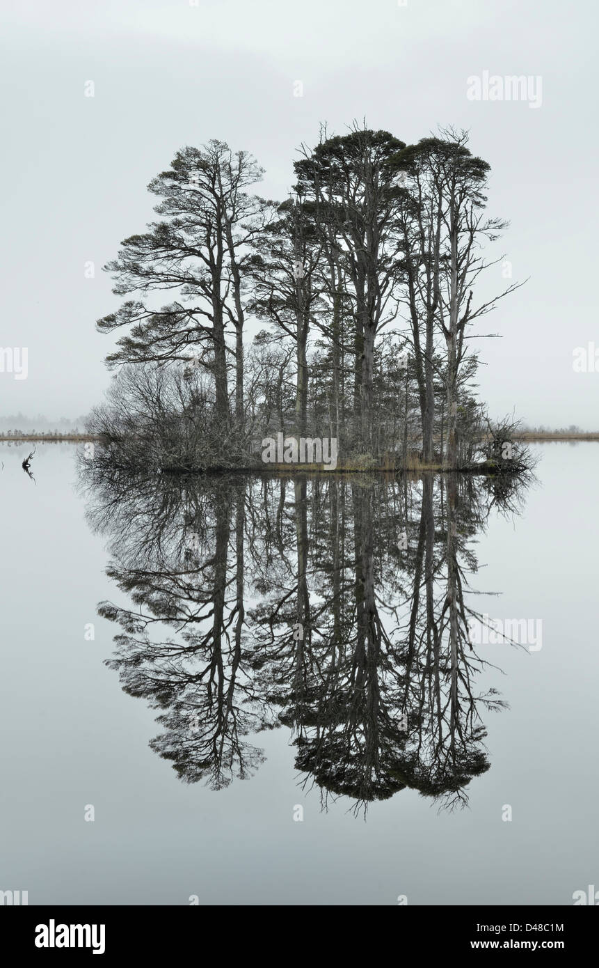 Loch Mallachie - Cairngorms National Park Foto Stock