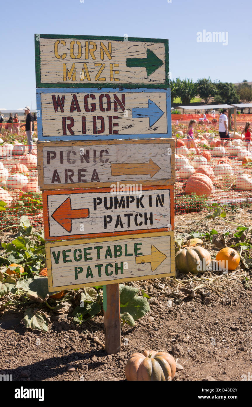 Zucca Patch e giro in carrozza segno Foto Stock