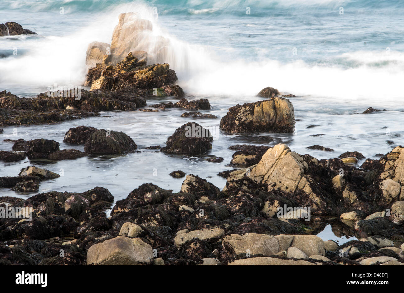 New Scenic 5 posti costa rocciosa lungo la storica 17 Mile Drive Pebble Beach in California Foto Stock