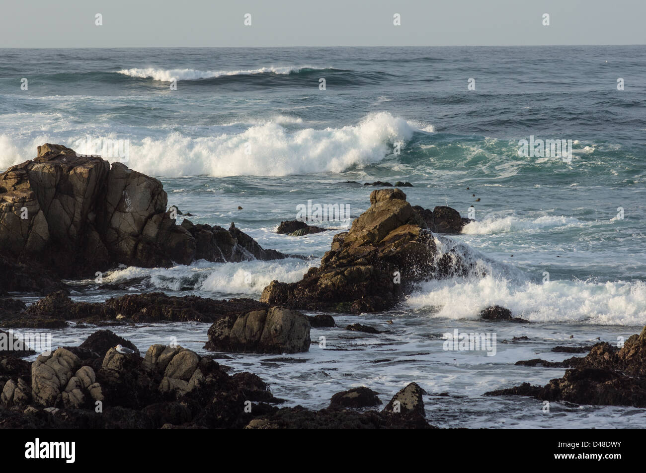 New Scenic 5 posti costa rocciosa lungo la storica 17 Mile Drive Pebble Beach in California Foto Stock