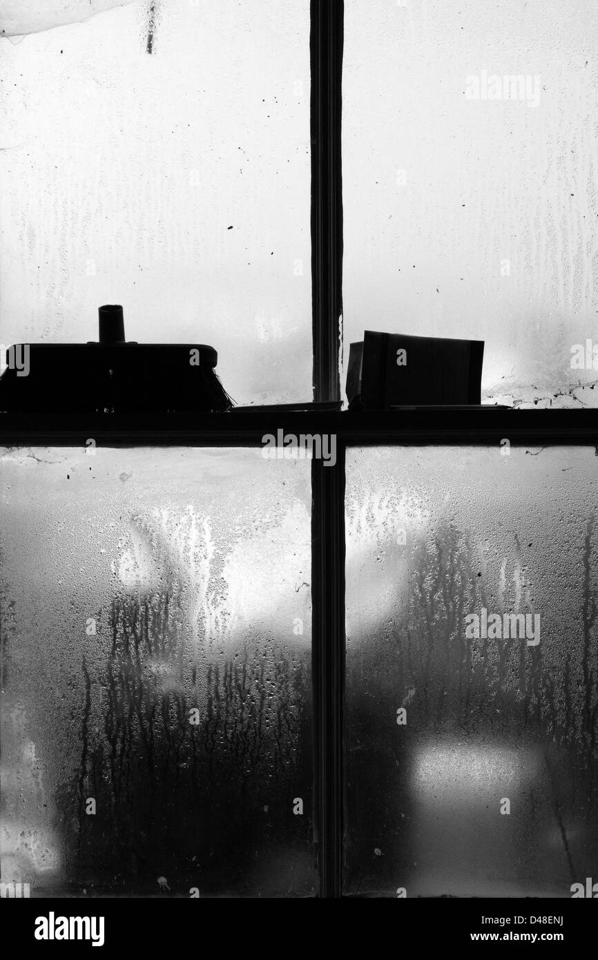 All'interno di un vecchio casolare, guardando fuori attraverso una sporca usurati finestra a ghigliottina Foto Stock