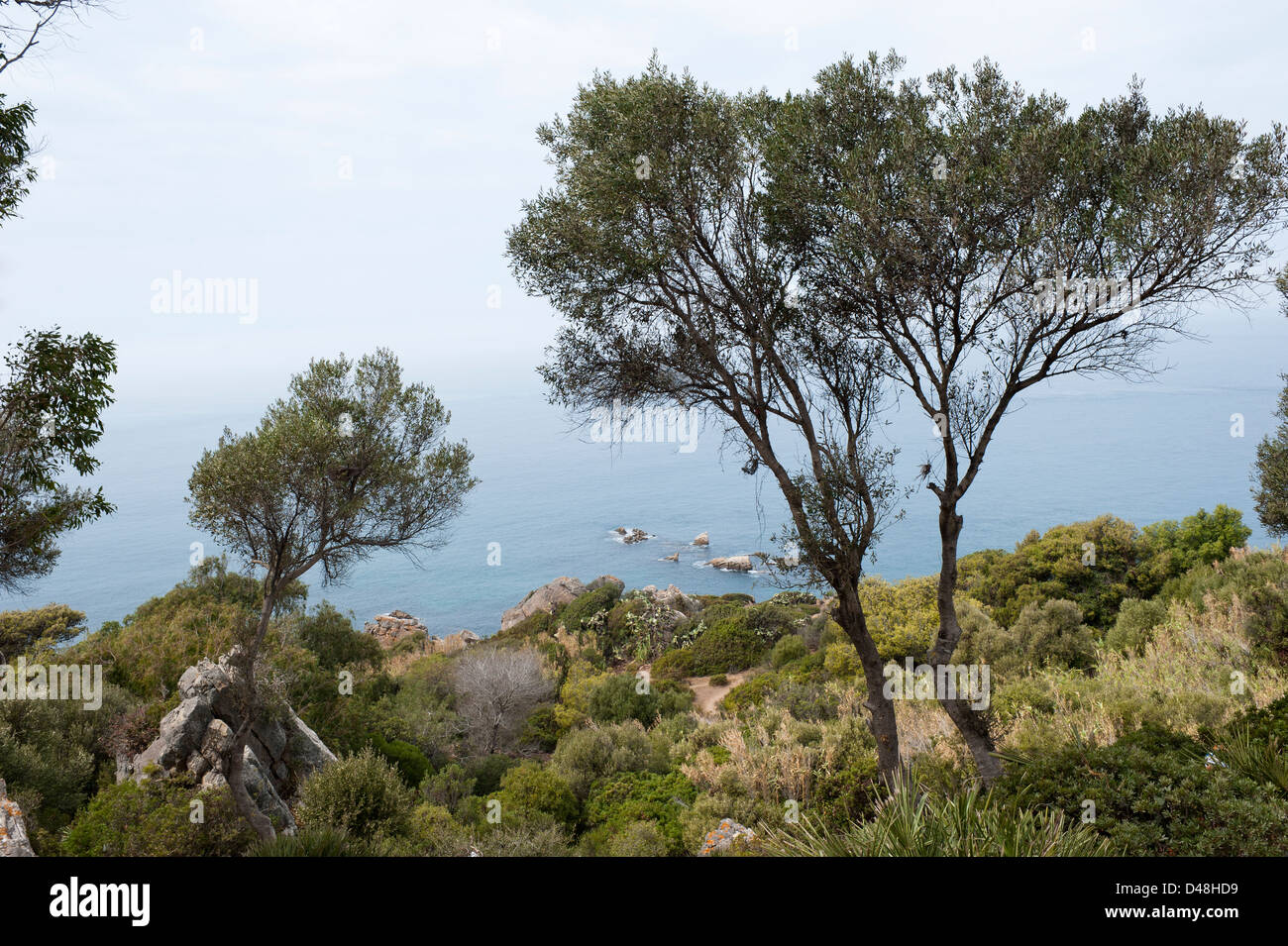 Capo Spartel, Marocco Foto Stock