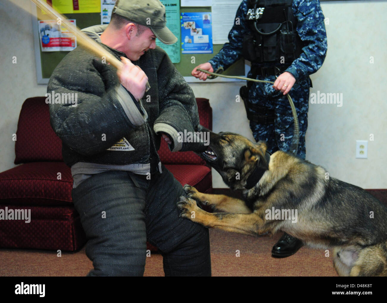 Presso la Joint Expeditionary base Little Creek-Fort Story, un cane da lavoro militare viene addestrato per varie operazioni come parte del programma di preparazione della Marina a Virginia Beach. Foto Stock