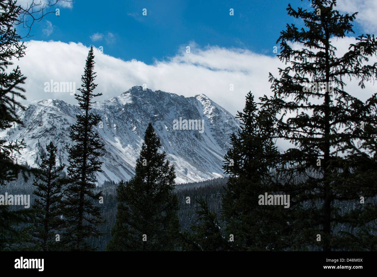 Montagne rocciose con alberi in primo piano Foto Stock