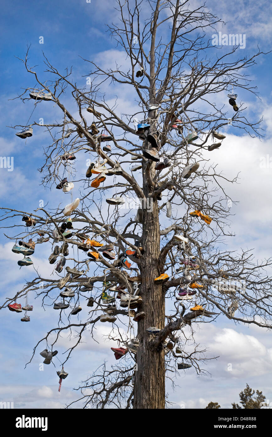 Una struttura di pattino, un albero di persone hanno gettato vecchie scarpe a. Foto Stock