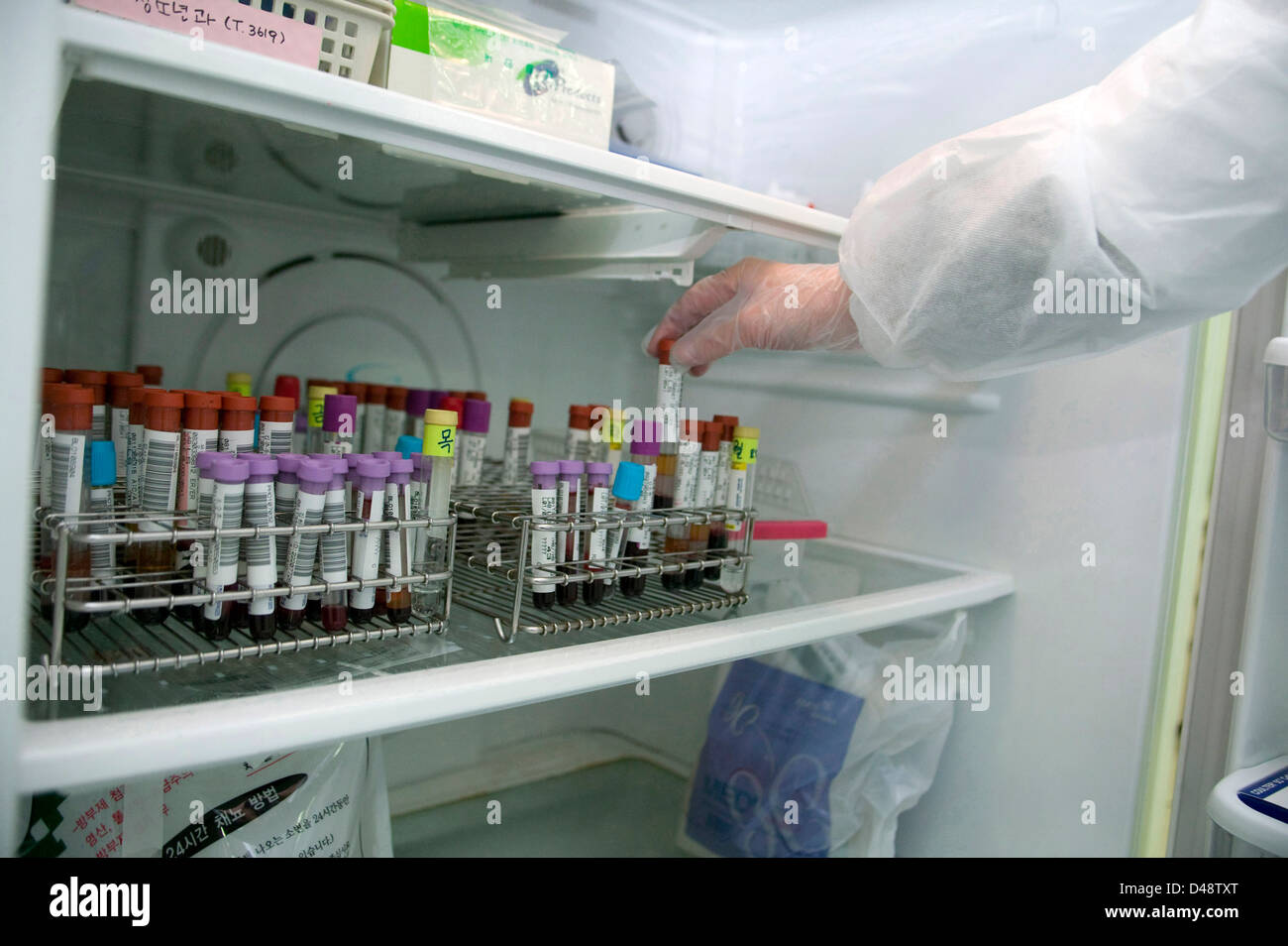 I campioni di sangue vengono memorizzati in un ospedale di un frigorifero. Foto Stock