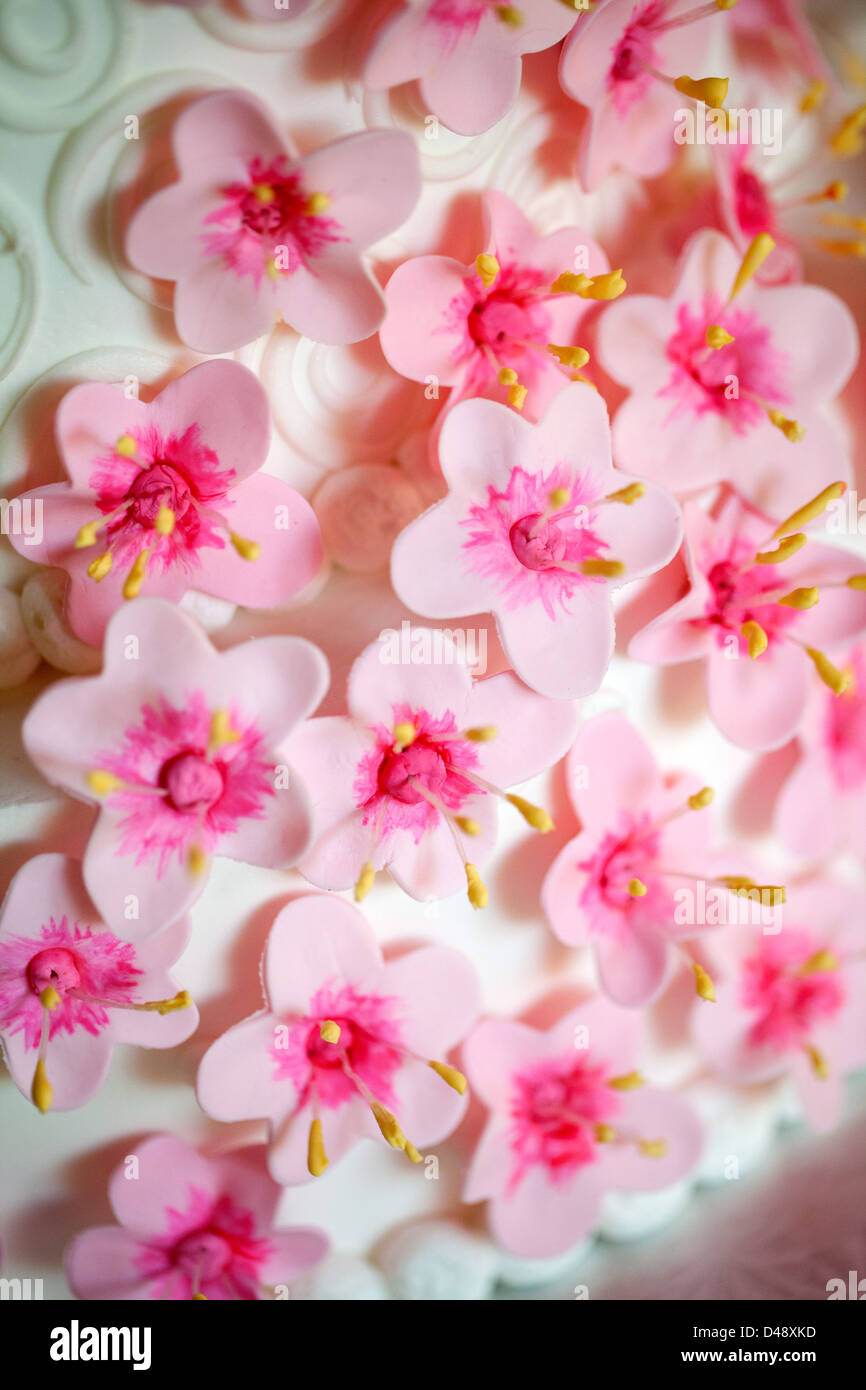 Fiore Fucsia accenti in un bianco torta di nozze. Foto Stock