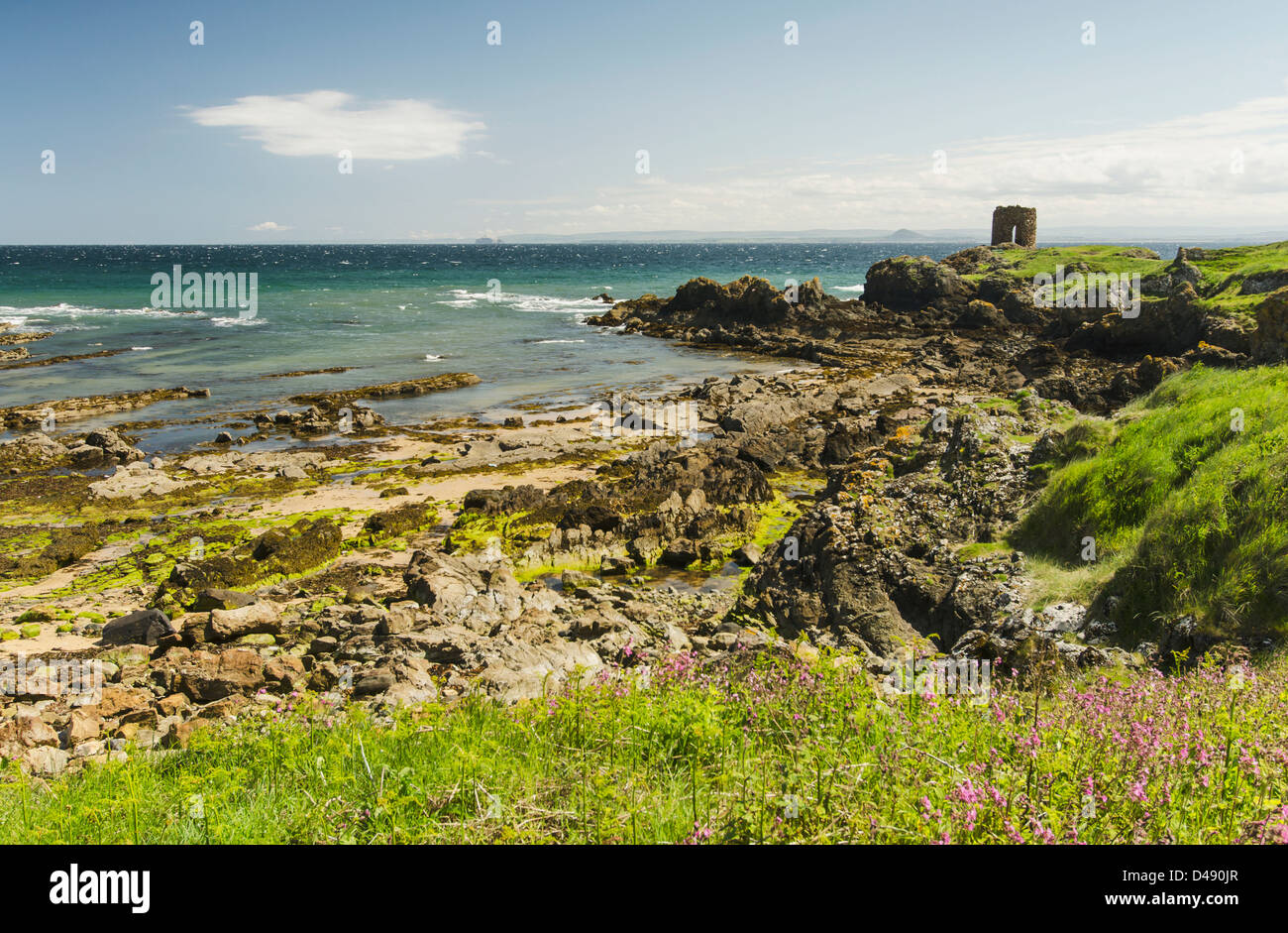 La signora Tower;Elie East Neuk Scozia Scotland Foto Stock