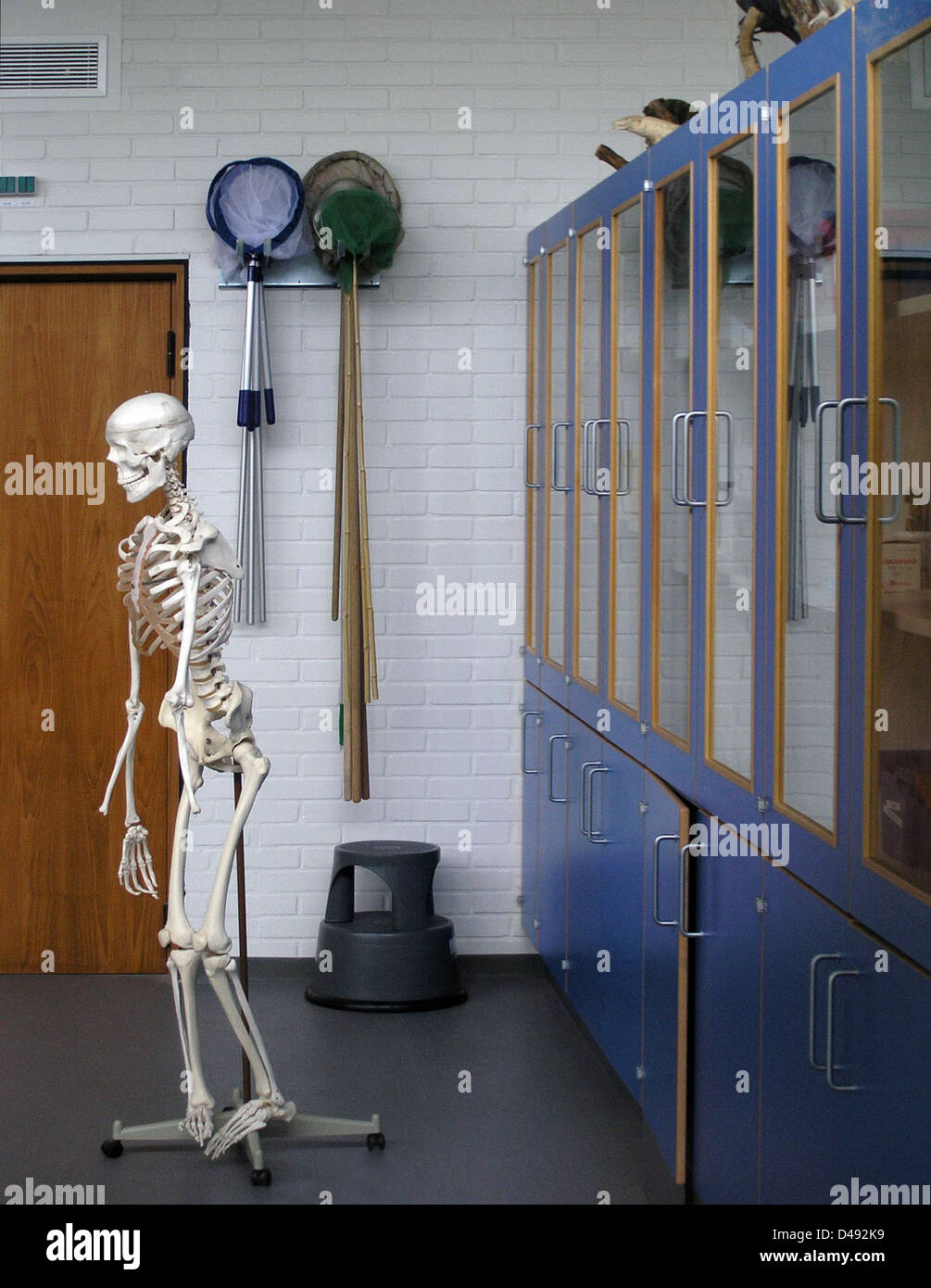 La scuola Nyager di Arne Jacobsen a Rødovre, Copenaghen, costruita tra il 1959 e il 1964, esemplifica lo stile architettonico modernista di Jacobsen. Il design enfatizza la funzionalità e la semplicità, combinando spazi aperti con luce naturale per creare un ambiente di apprendimento ideale. Foto Stock