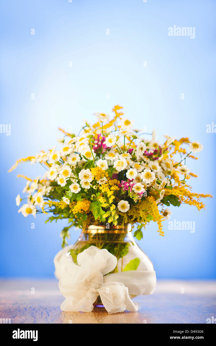 Bouquet di fiori selvatici in vaso su sfondo blu Foto Stock