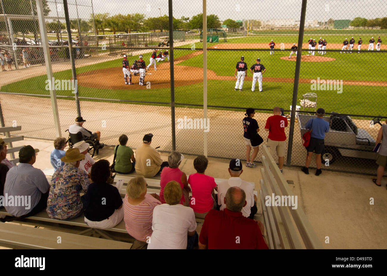 Minnesota Twins tifosi guardare la loro squadra pratica prima di una partita di preseason in Florida. Foto Stock