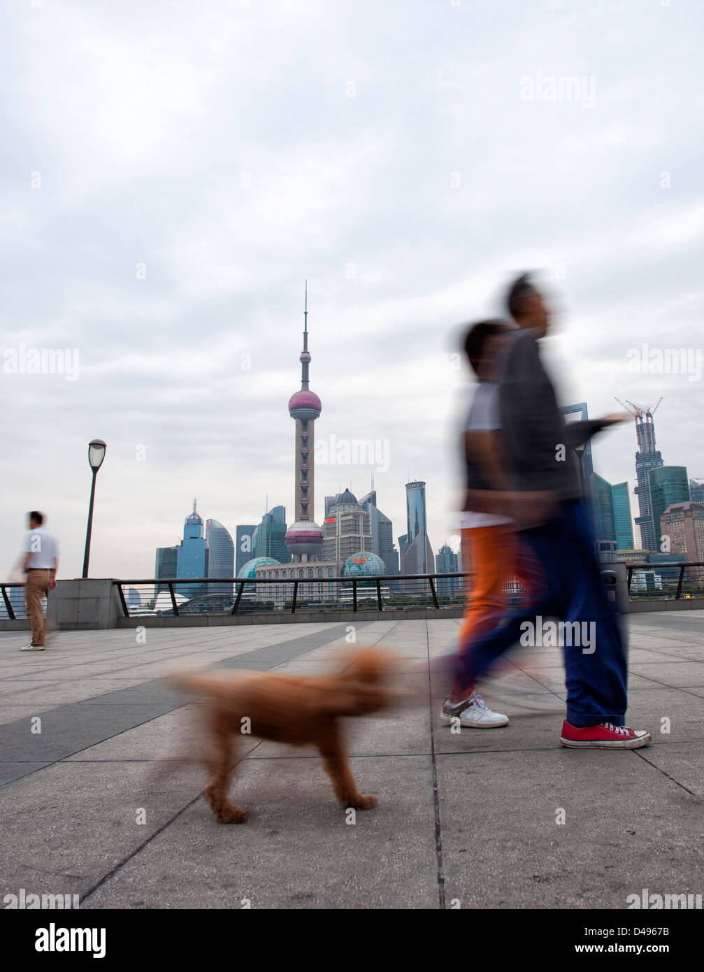 Il popolo cinese tirare il cane in Shanghai bund,Shanghai in Cina Foto Stock
