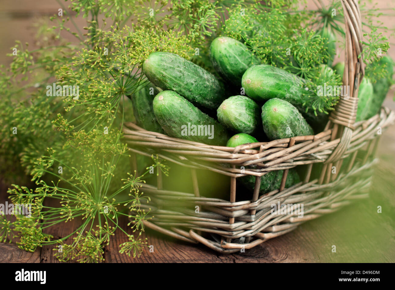 Harvest cetrioli e aneto in un cesto su sfondo di legno Foto Stock