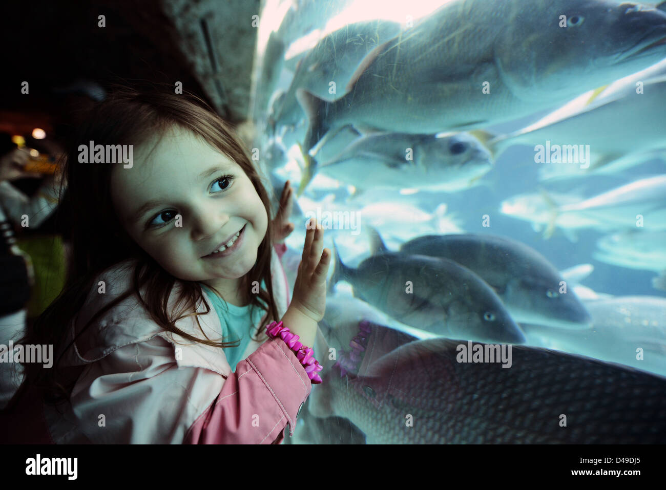 Una bambina sorride e sguardi in segno di stupore e meraviglia, attraverso il vetro di un acquario di pesci da nuoto. Foto Stock
